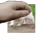 Anime Pet Pet Gif